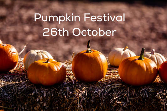 BEECH PARK PUMPKIN FESTIVAL SATURDAY 26TH OCTOBER